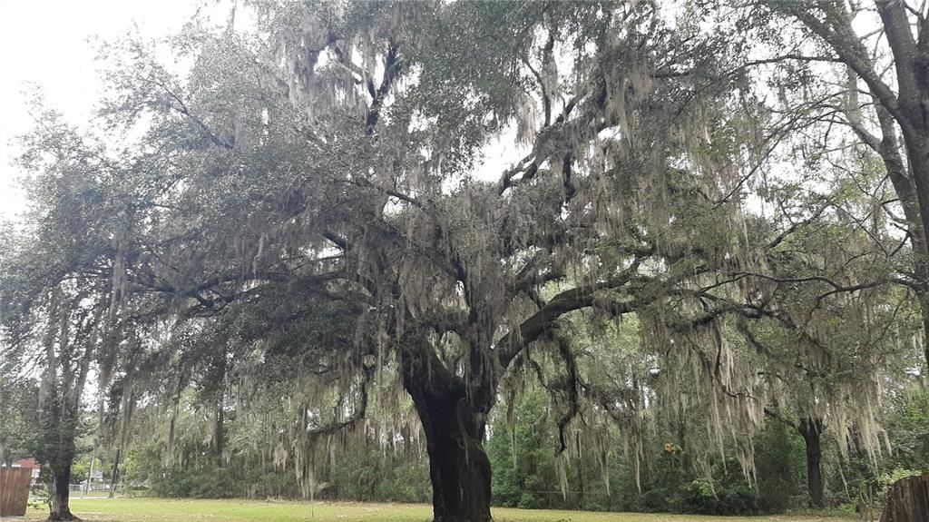 En Renta: $1,750 (3 camas, 1 baños, 1096 Pies cuadrados)