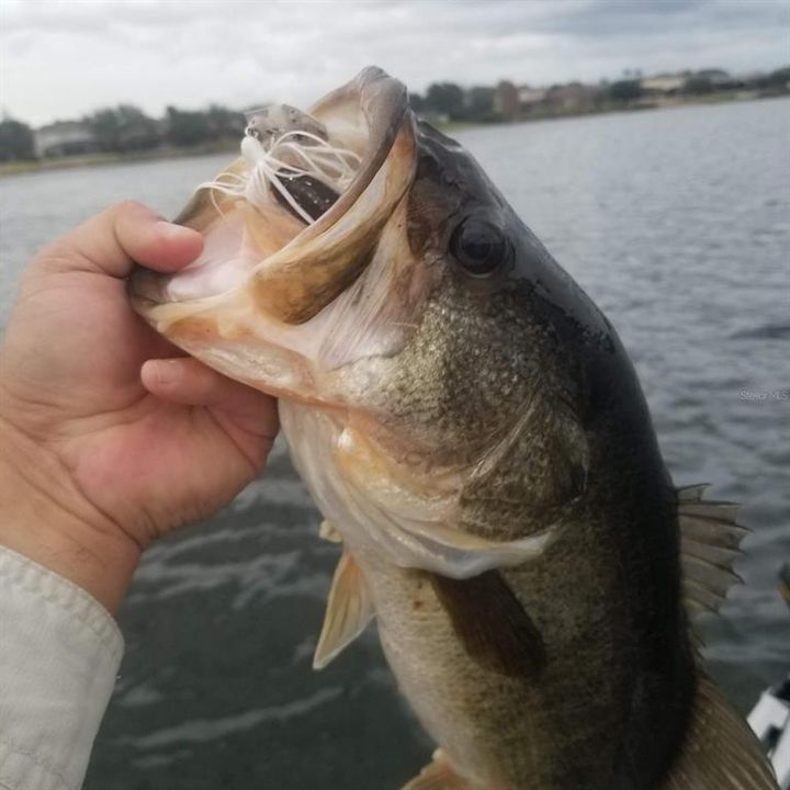 В аренду: $4,300 (4 спален, 2 ванн, 2648 Квадратных фут)