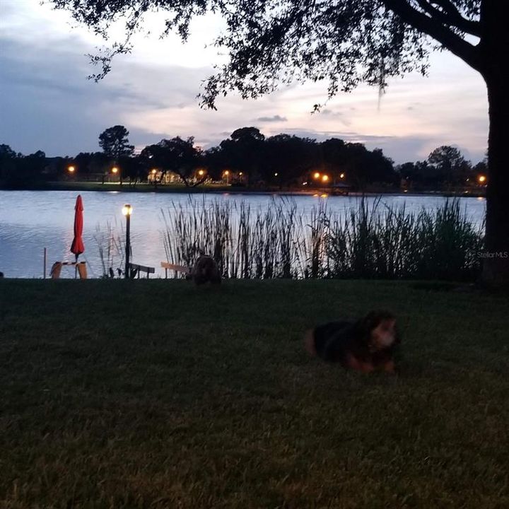 В аренду: $4,300 (4 спален, 2 ванн, 2648 Квадратных фут)