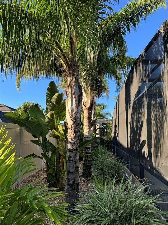 合同活跃: $929,900 (5 贝兹, 3 浴室, 3598 平方英尺)