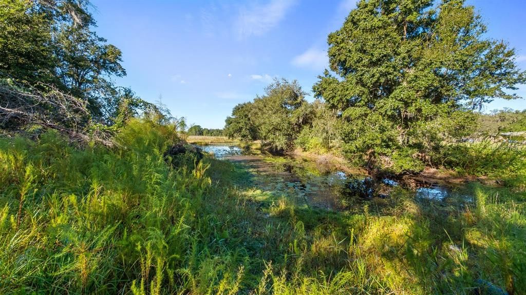 待售: $349,000 (3 贝兹, 2 浴室, 1496 平方英尺)