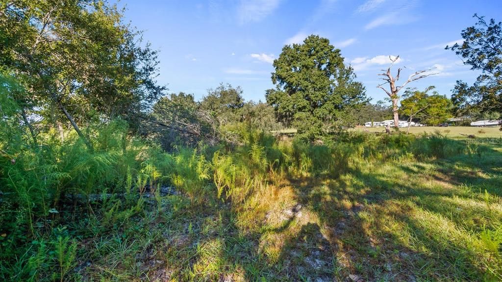 待售: $349,000 (3 贝兹, 2 浴室, 1496 平方英尺)