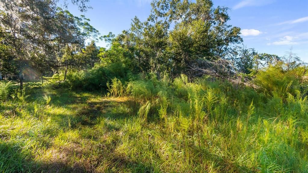 待售: $349,000 (3 贝兹, 2 浴室, 1496 平方英尺)