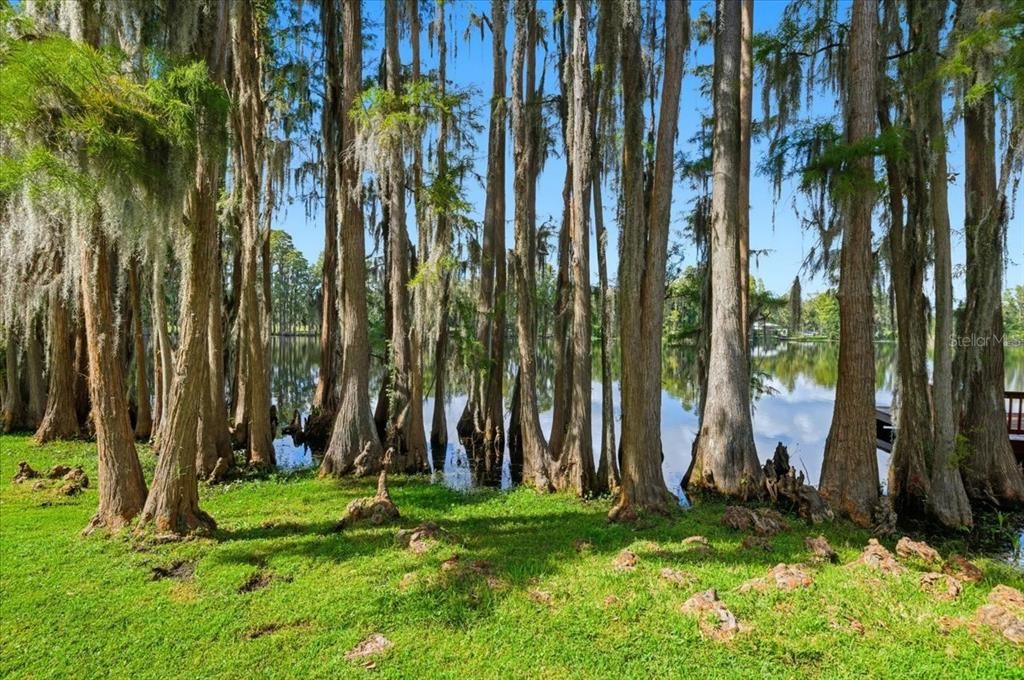 待售: $1,000,000 (4 贝兹, 2 浴室, 2986 平方英尺)