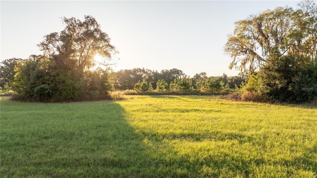 For Sale: $590,000 (20.00 acres)