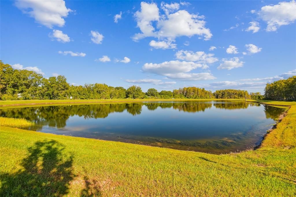 For Sale: $495,000 (3 beds, 2 baths, 2319 Square Feet)