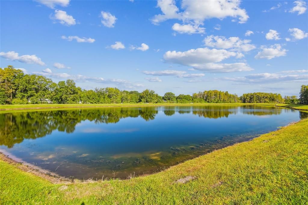 For Sale: $495,000 (3 beds, 2 baths, 2319 Square Feet)