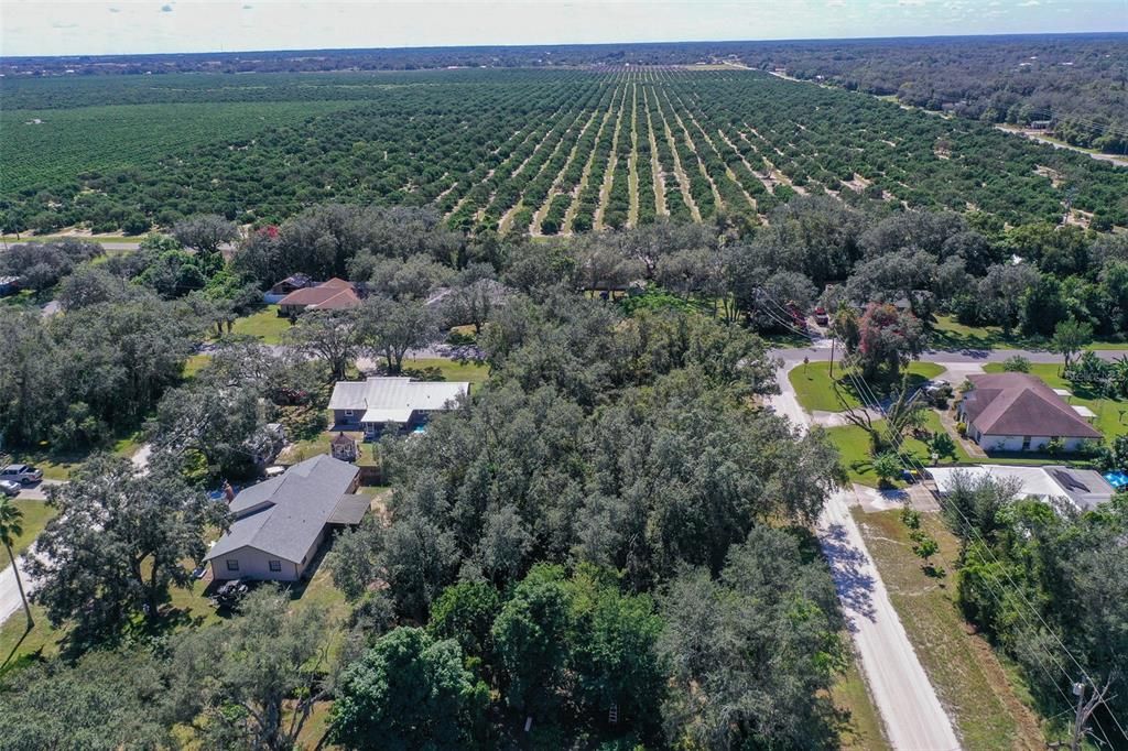 For Sale: $30,000 (0.46 acres)