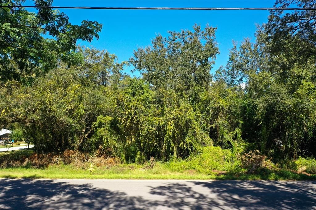 For Sale: $30,000 (0.46 acres)