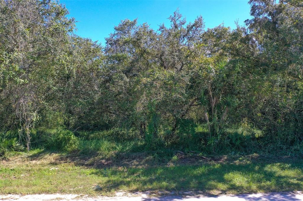 For Sale: $30,000 (0.46 acres)