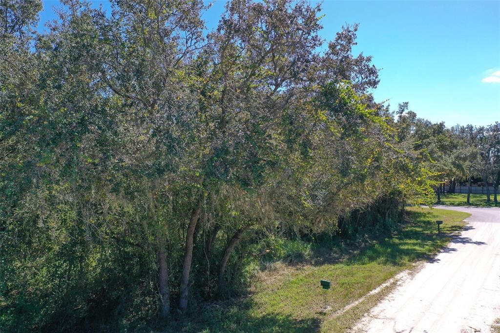 For Sale: $30,000 (0.46 acres)