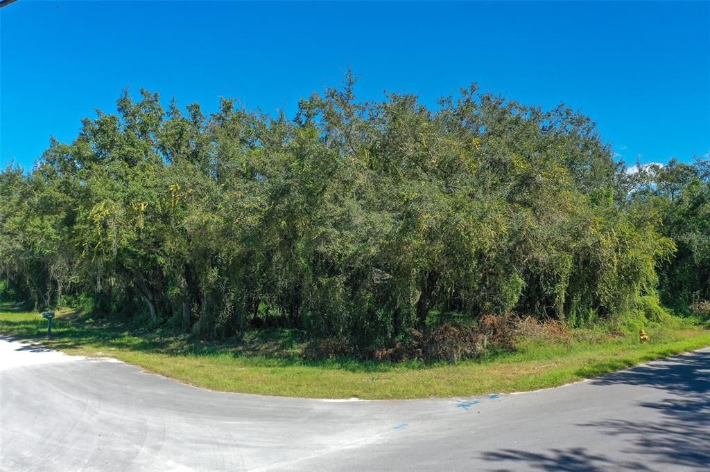 For Sale: $30,000 (0.46 acres)