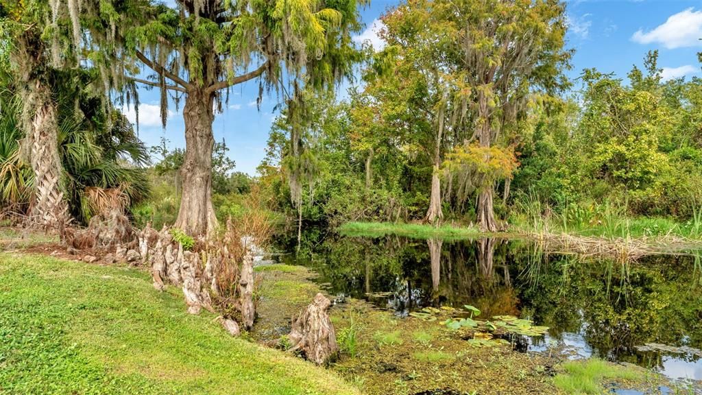 На продажу: $899,900 (3 спален, 2 ванн, 2271 Квадратных фут)