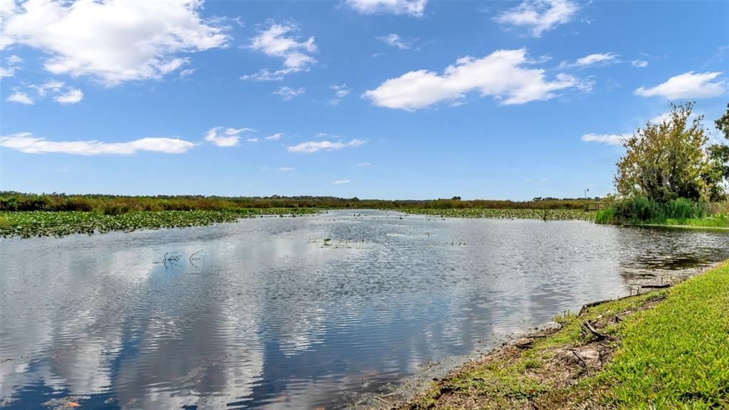 На продажу: $899,900 (3 спален, 2 ванн, 2271 Квадратных фут)