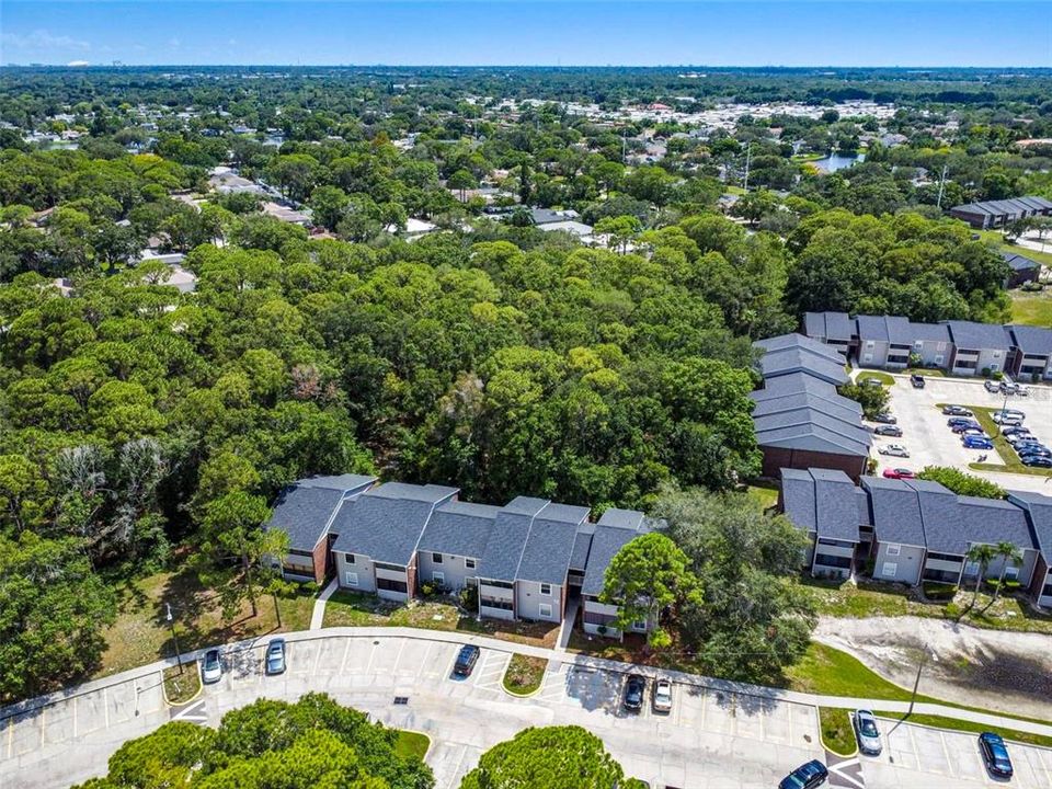 最近租的: $1,385 (1 贝兹, 1 浴室, 615 平方英尺)