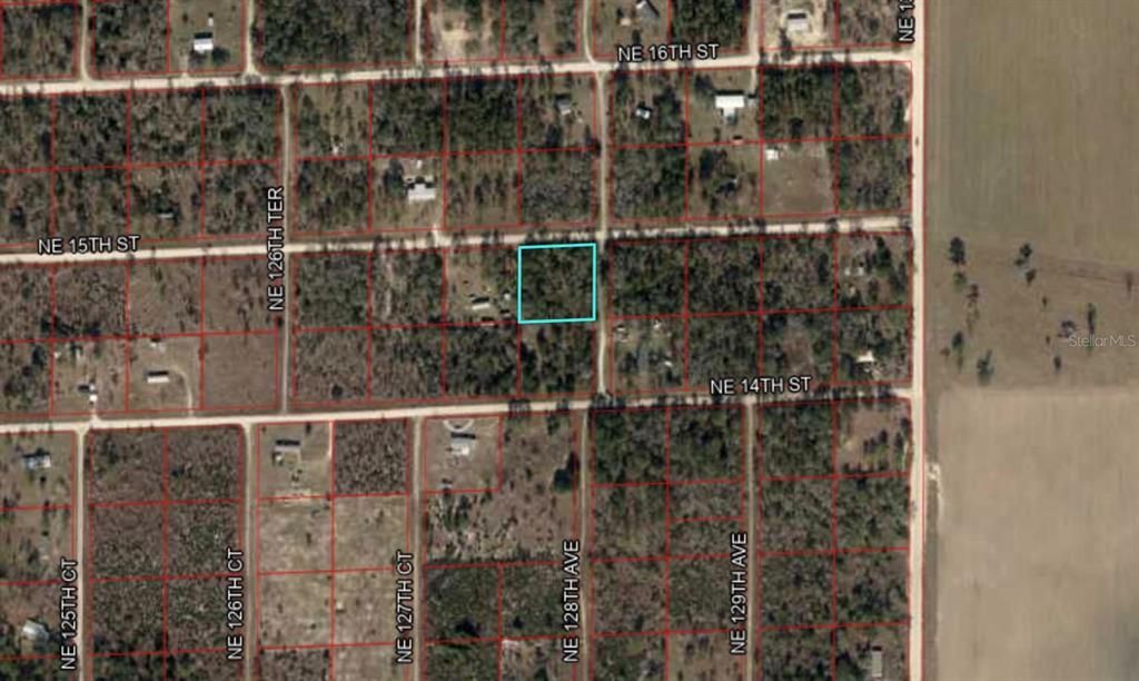 For Sale: $23,300 (1.00 acres)