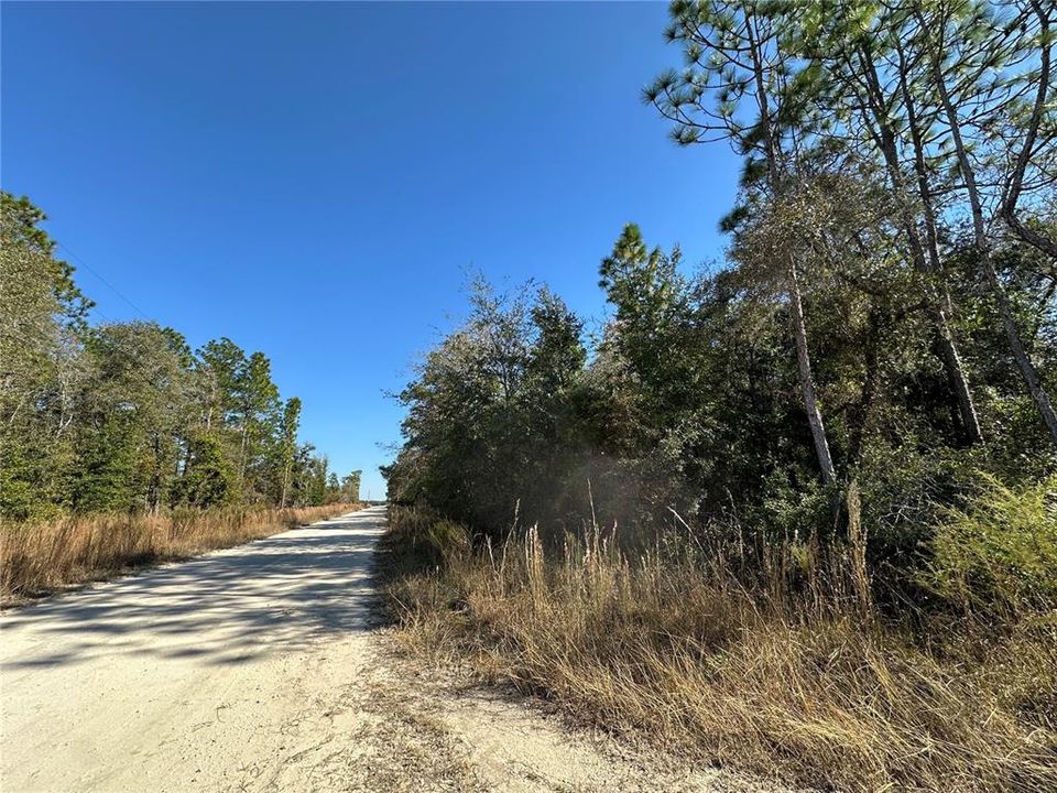 For Sale: $23,300 (1.00 acres)