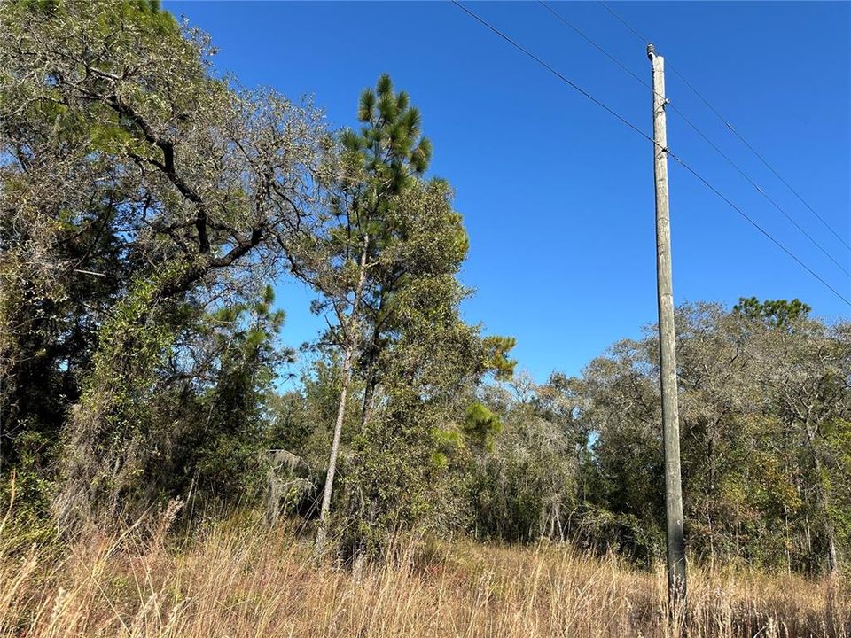 For Sale: $23,300 (1.00 acres)