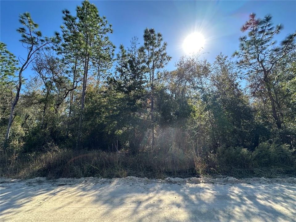 For Sale: $23,300 (1.00 acres)