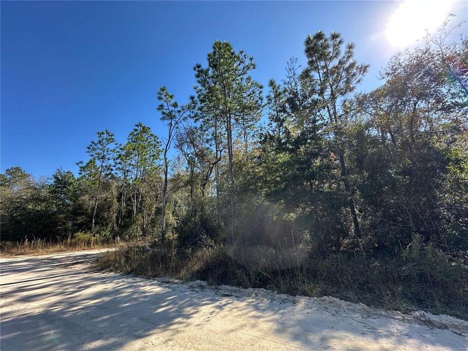 For Sale: $23,300 (1.00 acres)