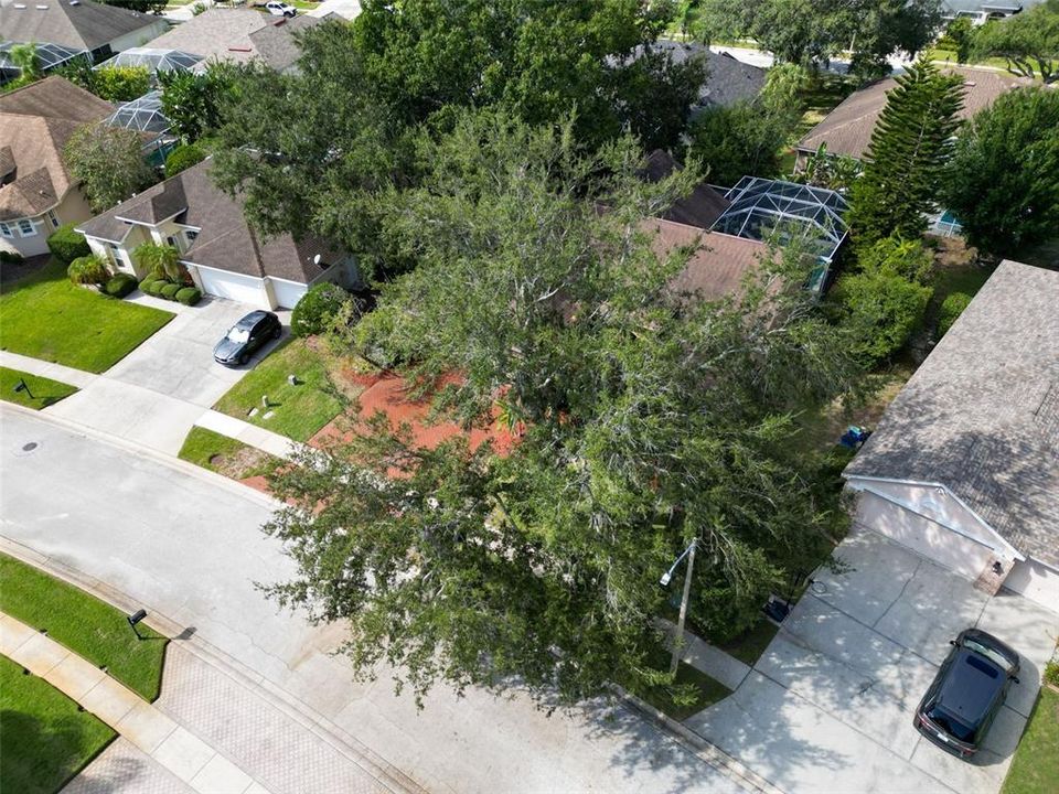 For Sale: $749,000 (4 beds, 3 baths, 2441 Square Feet)