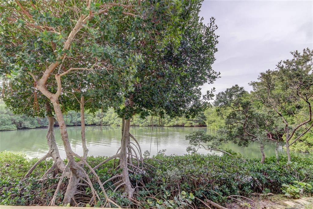 For Sale: $295,000 (2 beds, 2 baths, 1055 Square Feet)