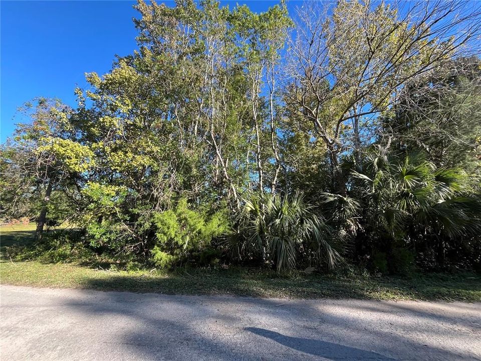 На продажу: $79,900 (2.92 acres)