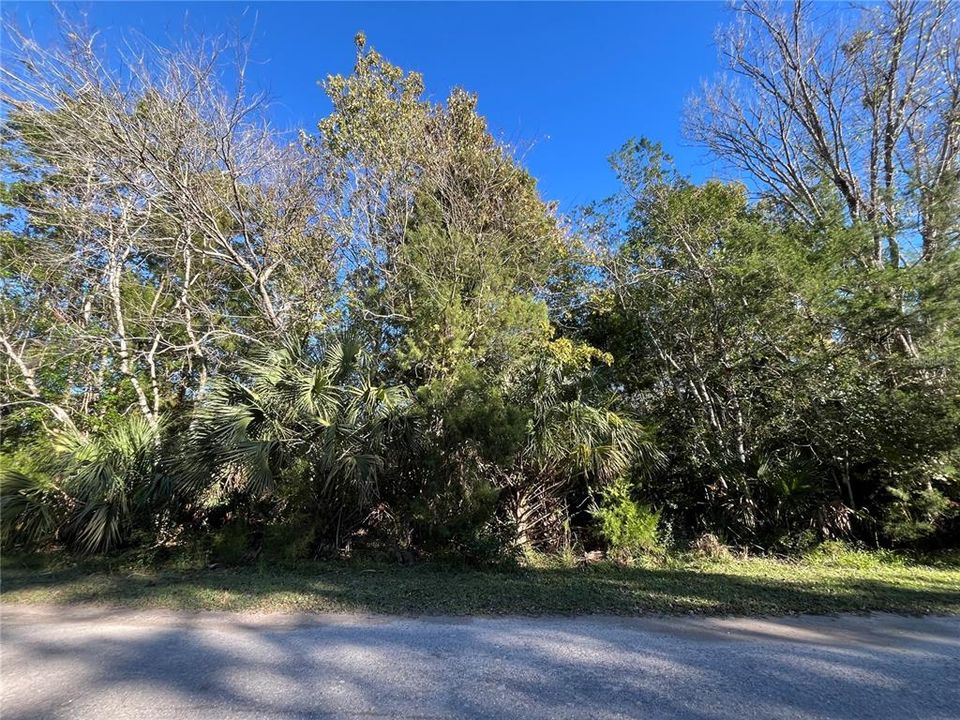 На продажу: $79,900 (2.92 acres)