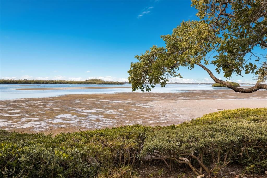 待售: $339,000 (2 贝兹, 2 浴室, 1485 平方英尺)