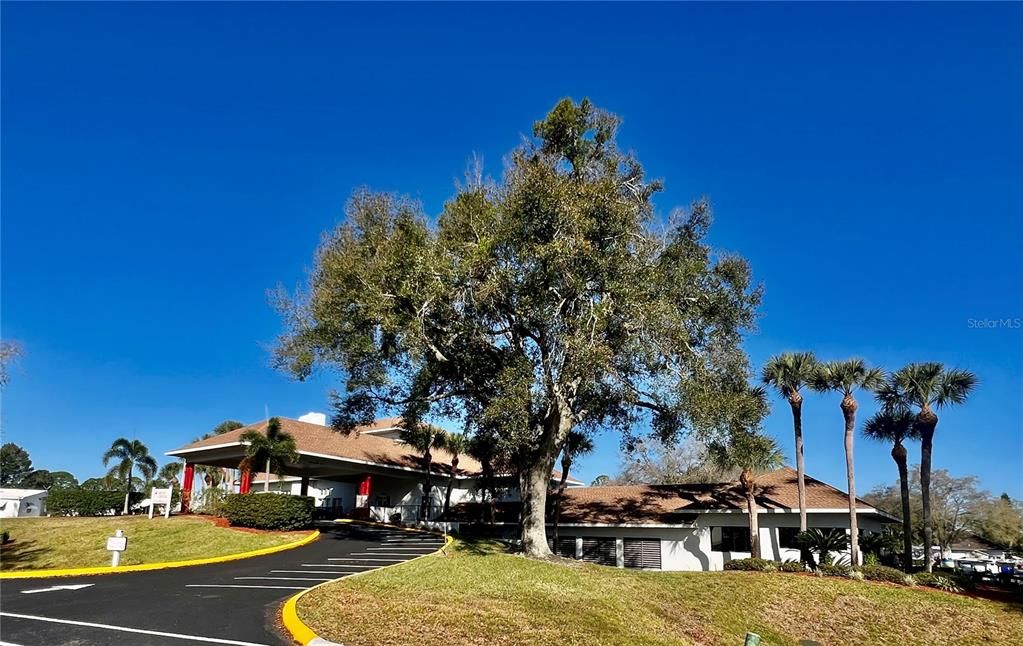 待售: $152,000 (2 贝兹, 1 浴室, 490 平方英尺)