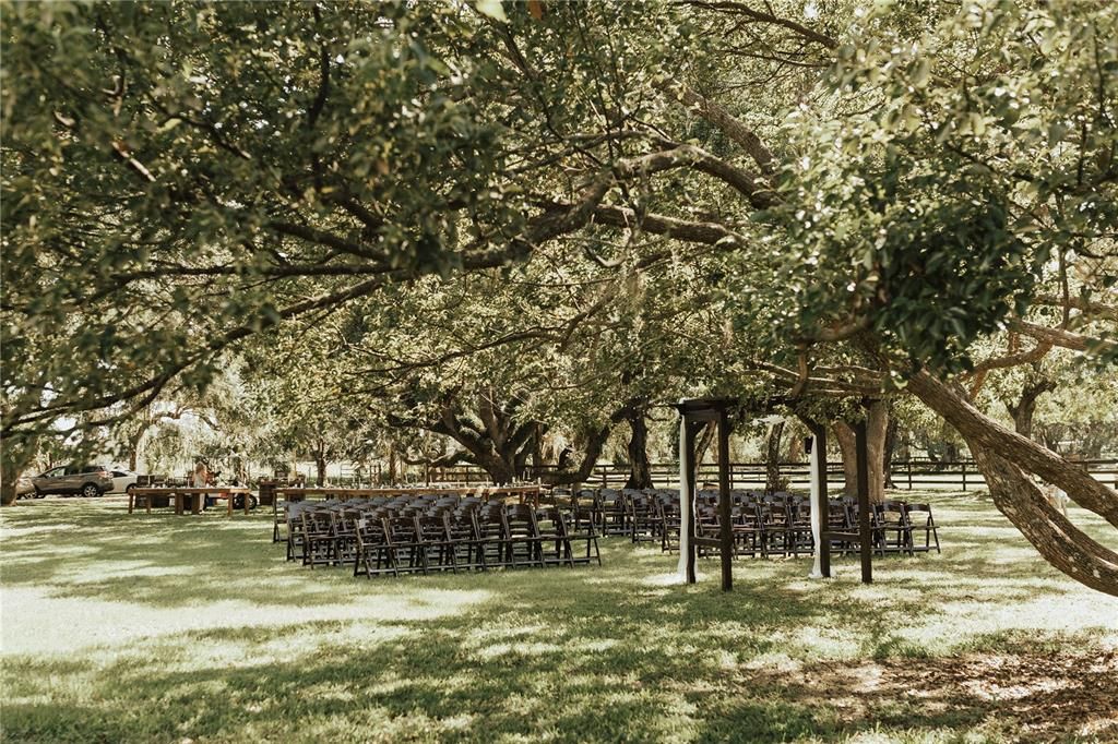 待售: $1,195,000 (3 贝兹, 2 浴室, 2194 平方英尺)