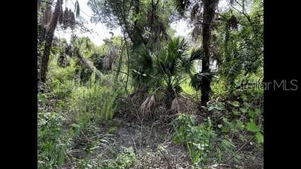 For Sale: $12,500 (0.31 acres)