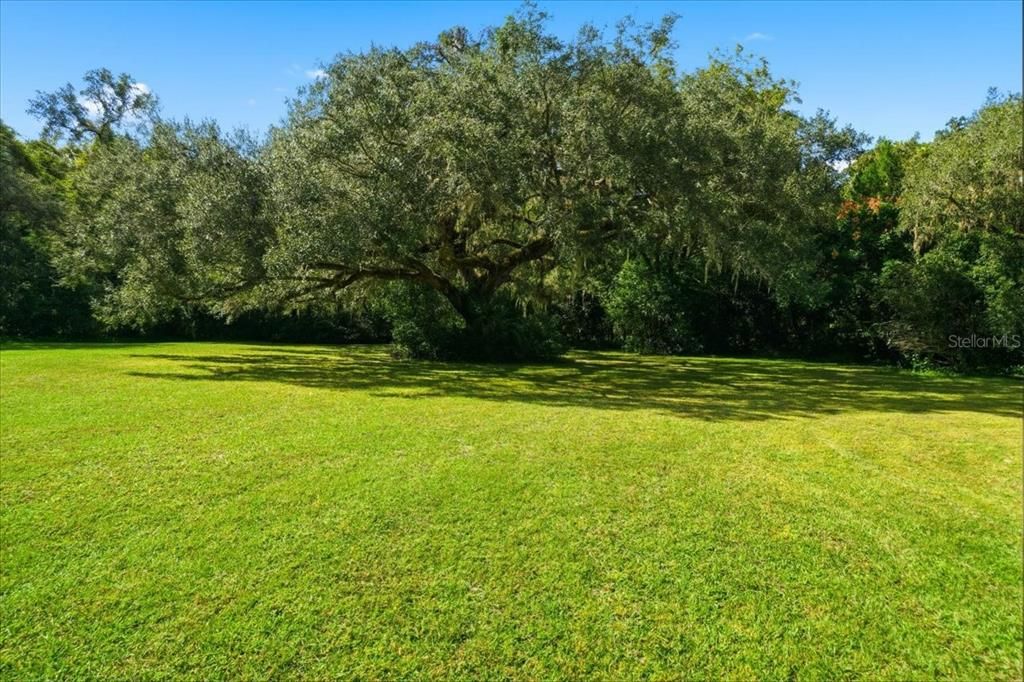 For Sale: $550,000 (2 beds, 1 baths, 1588 Square Feet)