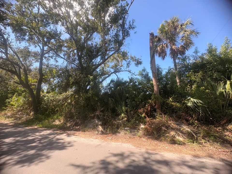 待售: $99,500 (0.16 acres)