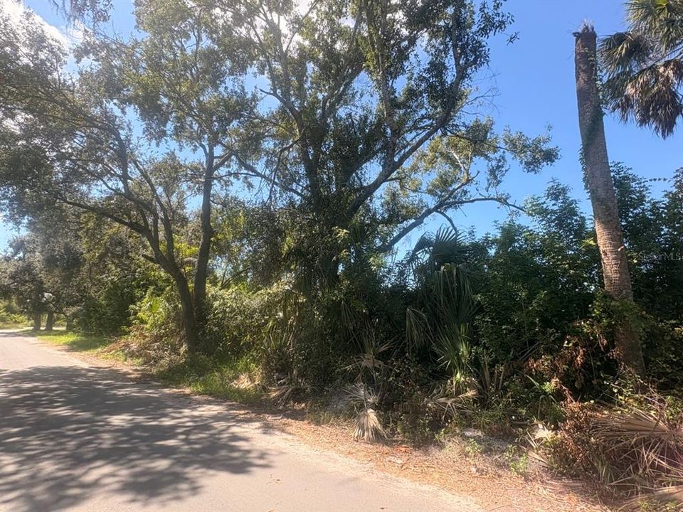 待售: $99,500 (0.16 acres)