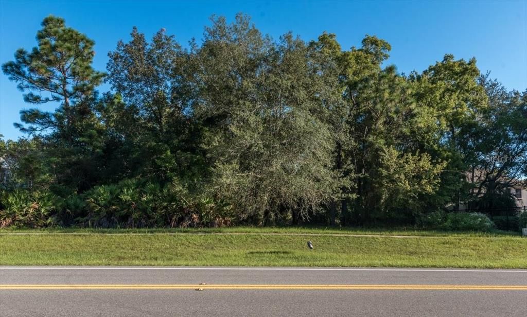 待售: $949,700 (2.76 acres)
