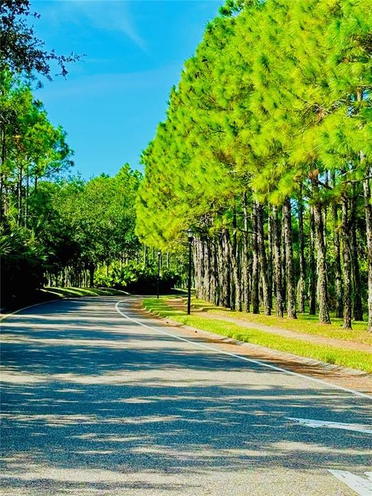 For Sale: $799,000 (5 beds, 4 baths, 4965 Square Feet)