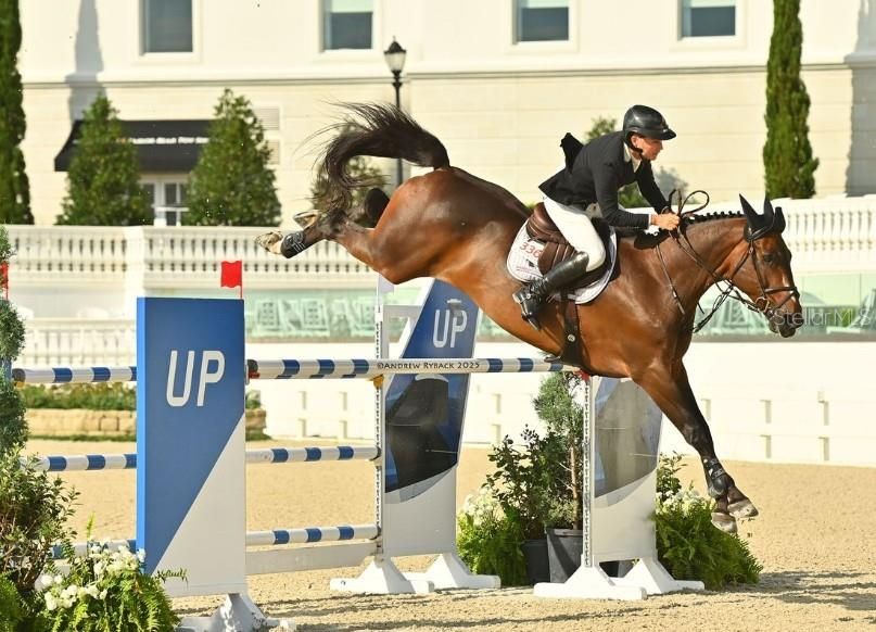 Под контрактом: $285,000 (3 спален, 2 ванн, 1542 Квадратных фут)