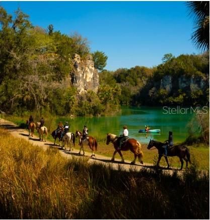 Под контрактом: $285,000 (3 спален, 2 ванн, 1542 Квадратных фут)