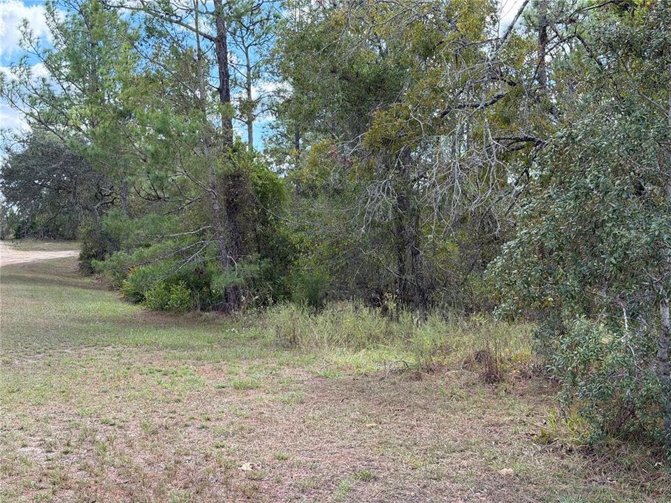 Active With Contract: $60,000 (2.33 acres)