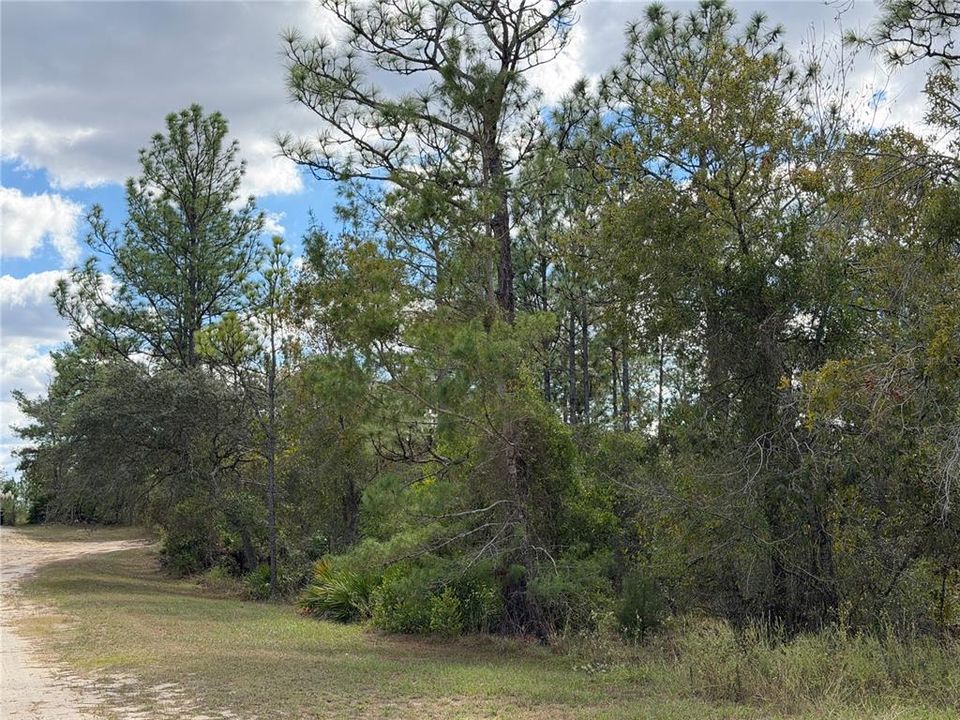 Active With Contract: $60,000 (2.33 acres)