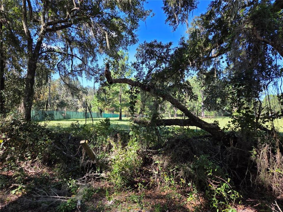 For Sale: $49,900 (1.00 acres)