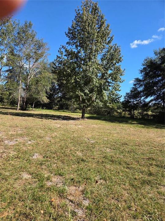 For Sale: $49,900 (1.00 acres)