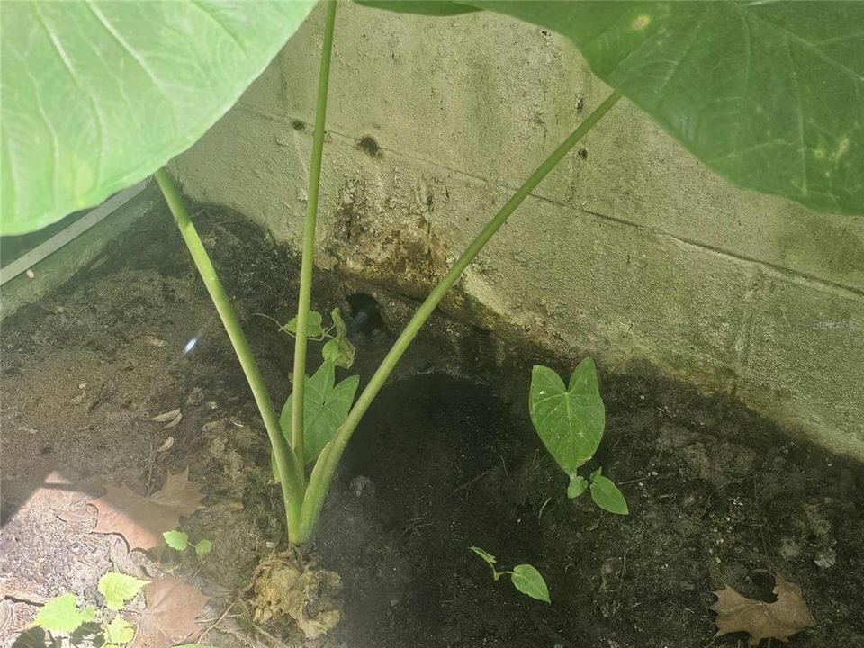 En Venta: $99,000 (2 camas, 1 baños, 814 Pies cuadrados)