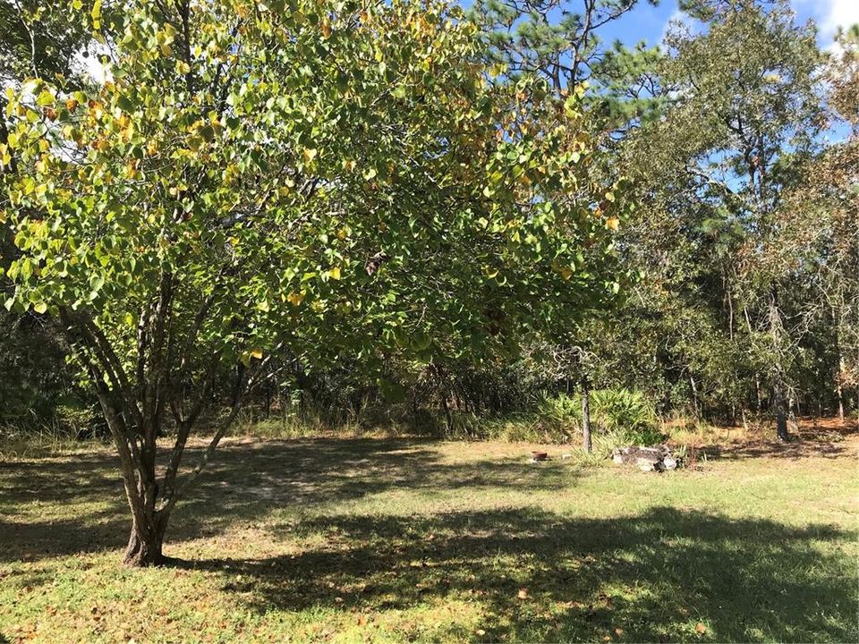 待售: $269,900 (4 贝兹, 2 浴室, 2168 平方英尺)