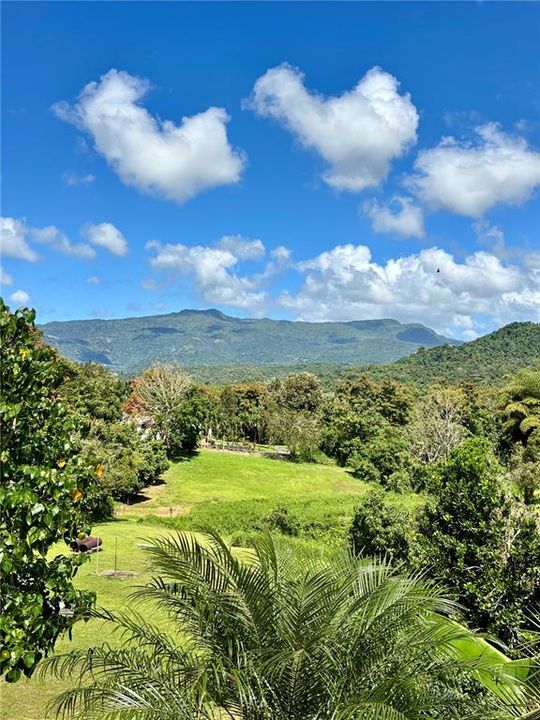 Recently Sold: $275,000 (4 beds, 2 baths, 1386 Square Feet)