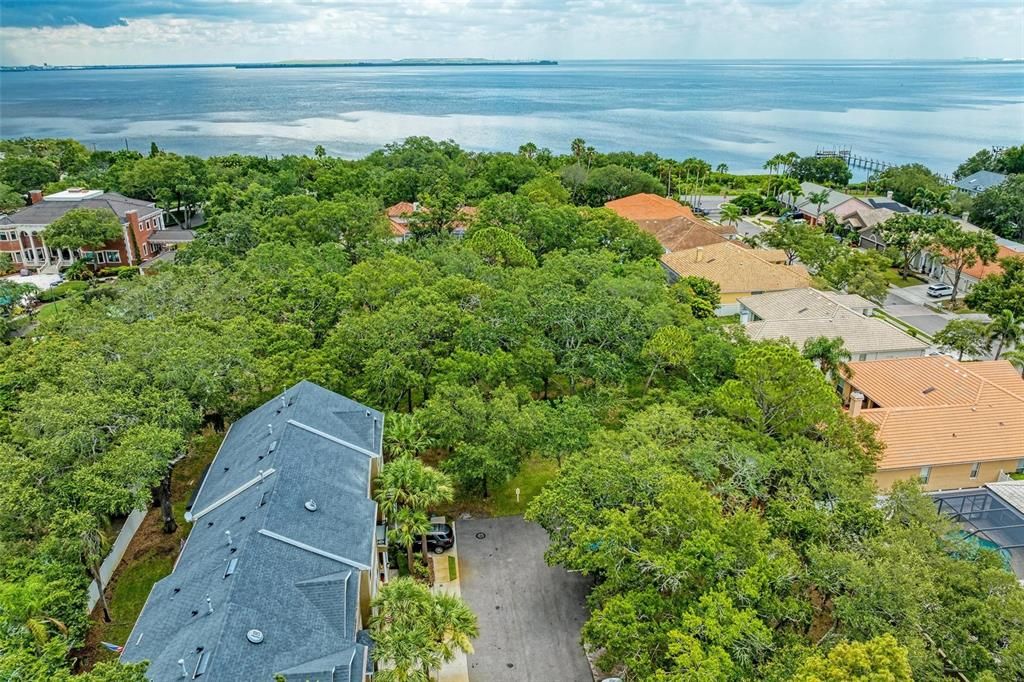 出租: $3,100 (3 贝兹, 2 浴室, 1714 平方英尺)