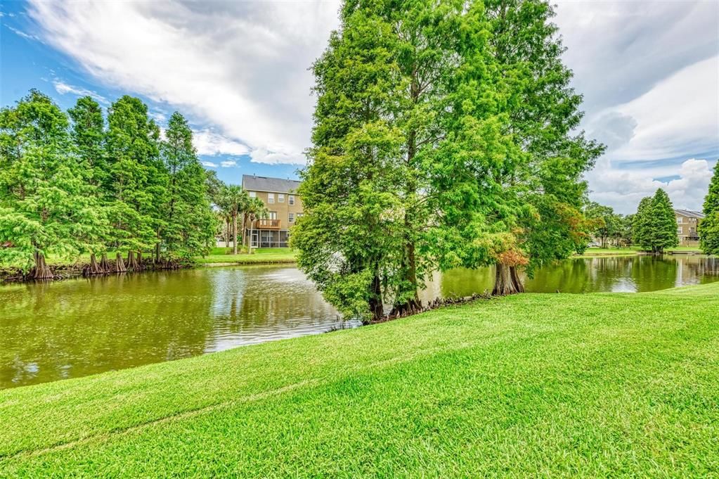 出租: $3,100 (3 贝兹, 2 浴室, 1714 平方英尺)