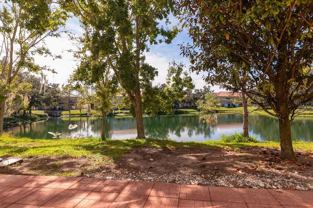 合同活跃: $309,900 (3 贝兹, 2 浴室, 1798 平方英尺)