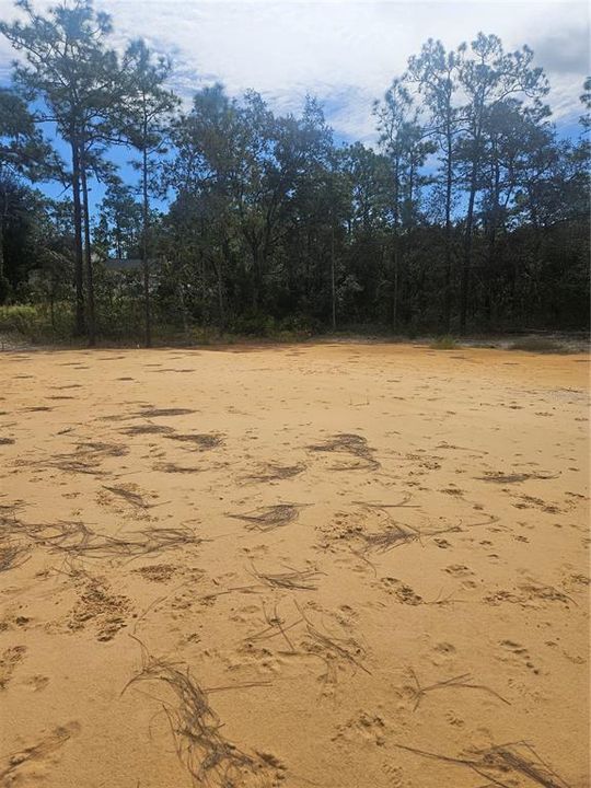 En Venta: $49,900 (1.16 acres)